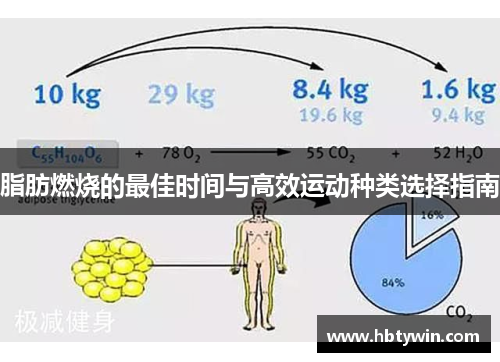 脂肪燃烧的最佳时间与高效运动种类选择指南